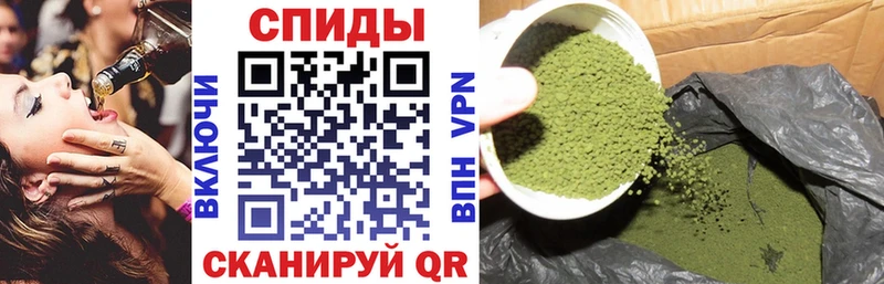 shop Telegram Ветлуга БУТИРАТ буратино