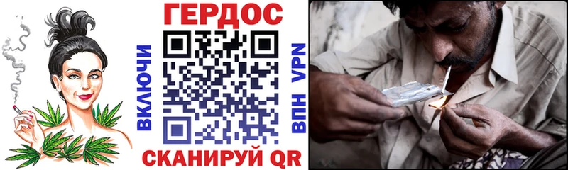 ГЕРОИН хмурый  Ветлуга 