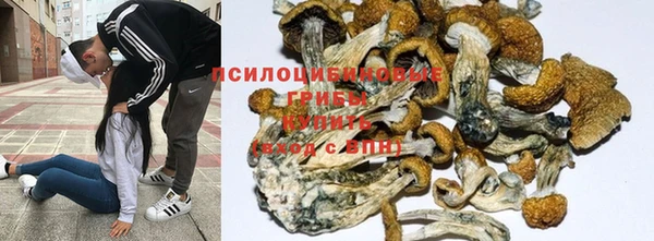 наркотики Протвино