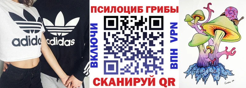 Галлюциногенные грибы Magic Shrooms  blacksprut ссылка  Ветлуга 